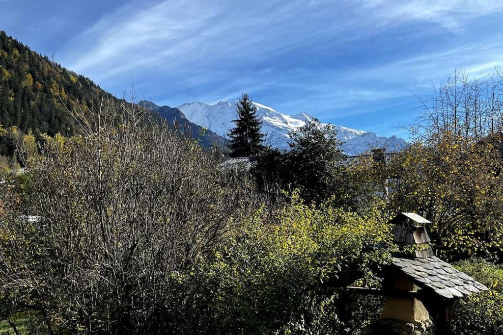 Appartement Dans Chalet - 75 M2 - 4 A 6 Personnes 생제르베레뱅 외부 사진